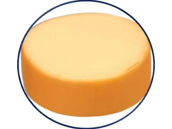 Cheese Press